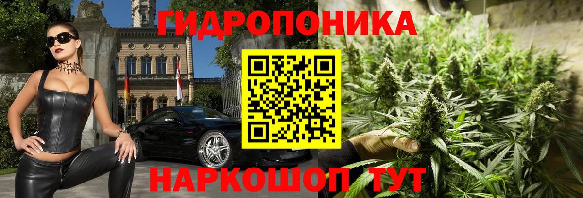 Бошки Шишки ГИДРОПОН Советский